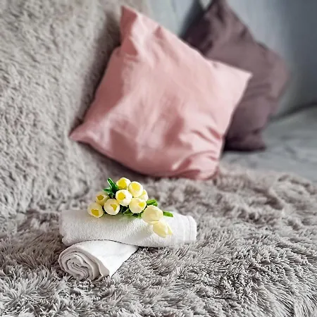 Fredry 15f Homestay Krakow