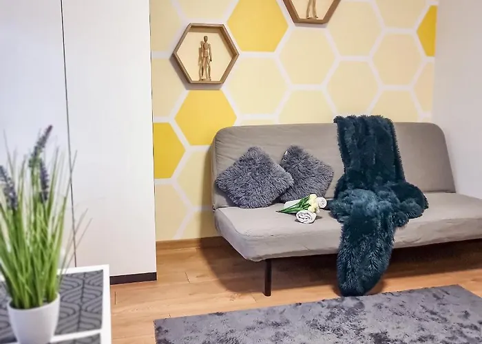 Проживание в семье Fredry 15f