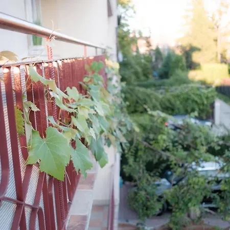 Fredry 15f Séjour chez l'habitant Cracovie